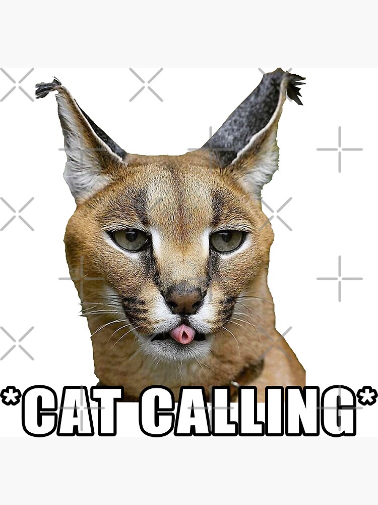 iPhone 13 Big floppa, Caracal Meme en el caso