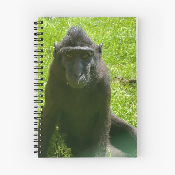 Item preview, Sulawesi crested macaque designed and sold by Nadiagould.