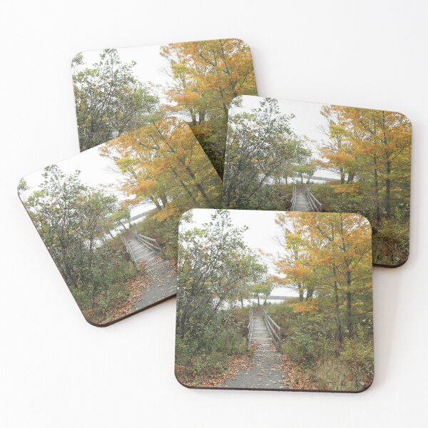 Item preview, Picturesque walking path in Milbridge, Maine designed and sold by Campbell Gallery.