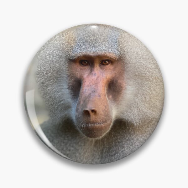 Item preview, Hamadryas baboon designed and sold by Nadiagould.