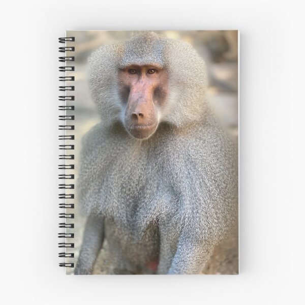 Item preview, Hamadryas baboon designed and sold by Nadiagould.