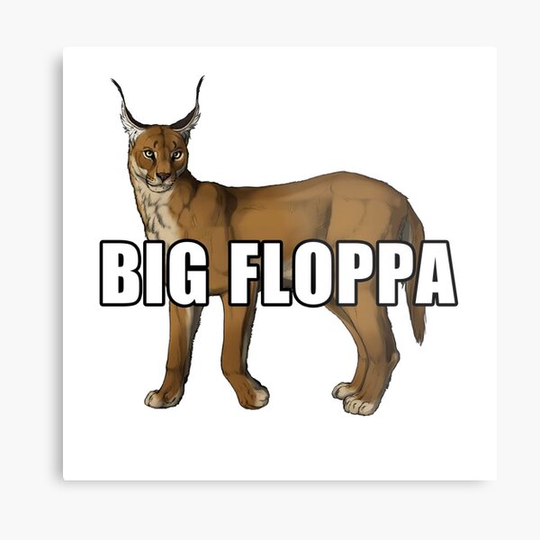 Floppa - Meme by sanson99 :) Memedroid