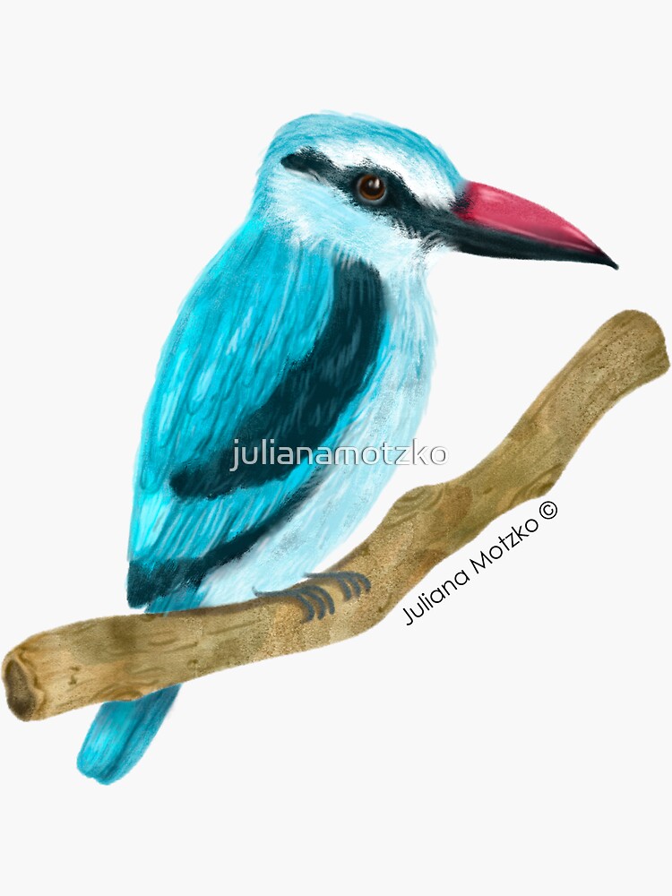 Woodland Kingfisher by julianamotzko