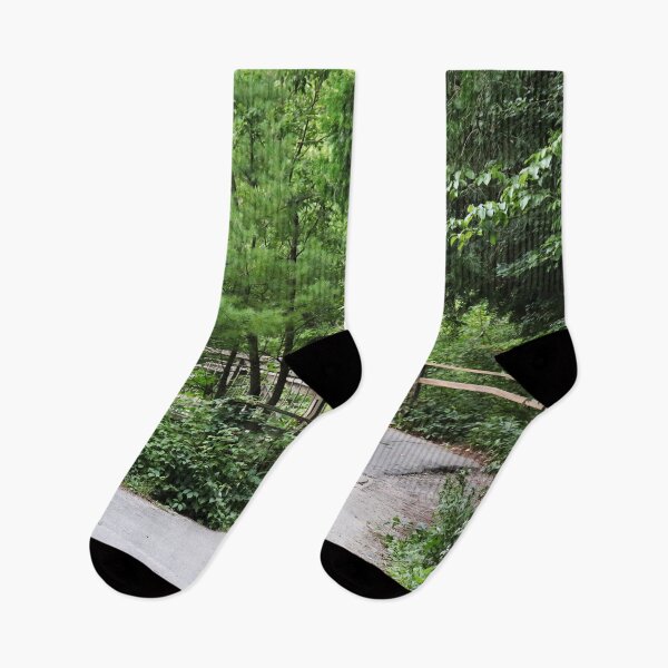 Item preview, Bridge In The Woods - Heber Downs Conservation Area designed and sold by SeguinM.