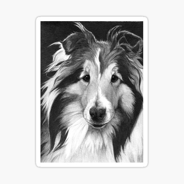 LUCY/ Sheltie Sticker