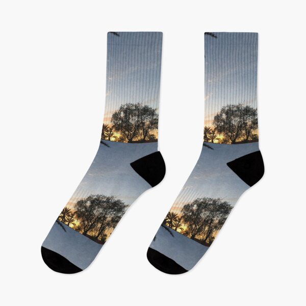 Item preview, Baja #1 designed and sold by anuvisculture.