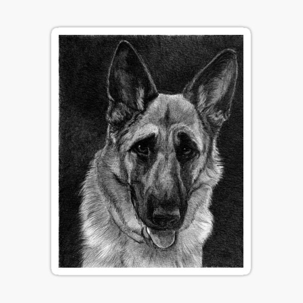 LILLY Sticker