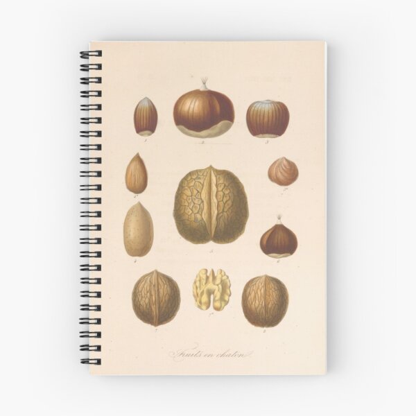 Item preview, Naturalist Nuts designed and sold by BlueSpecsStudio.