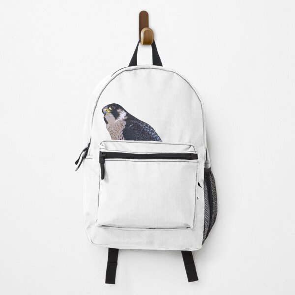 Artikelvorschau, Wanderfalke Farbdruck entworfen und verkauft von designsasstultd.