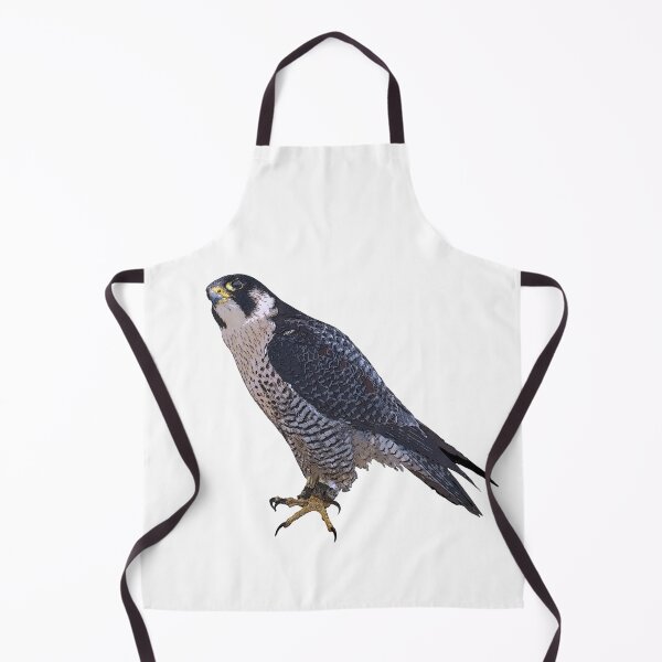 Item preview, Peregrine Falcon Color  Print designed and sold by designsasstultd.