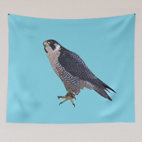 Item preview, Peregrine Falcon Color  Print designed and sold by designsasstultd.