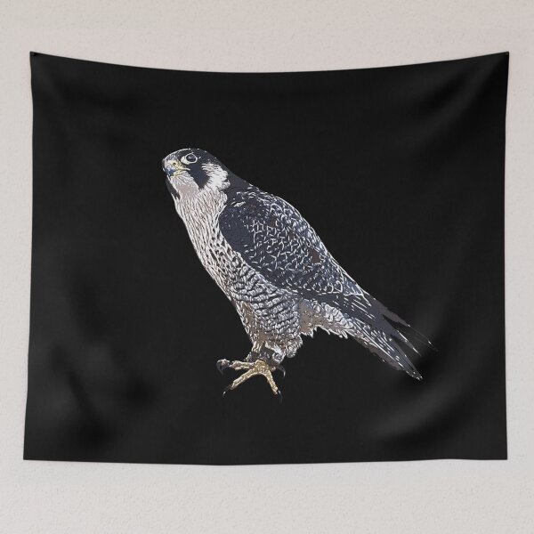 Item preview, Peregrine Falcon White Alternate  Print designed and sold by designsasstultd.