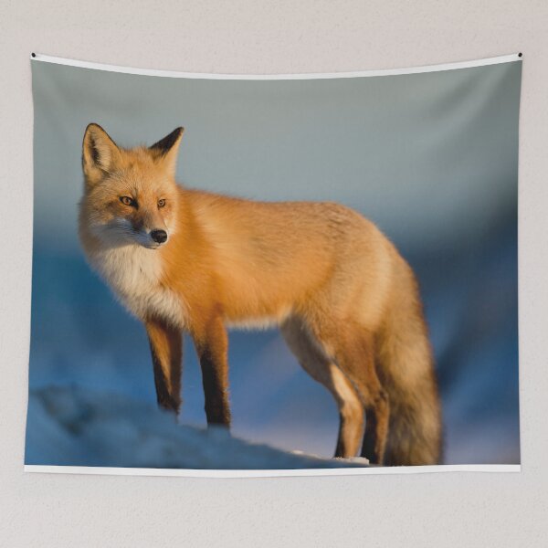 Item preview, Morning Sunrise Red Fox designed and sold by Alladin7.