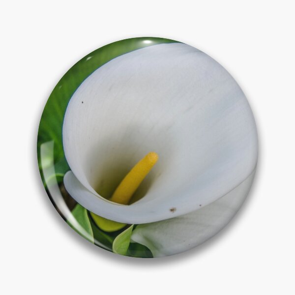 Item preview, White Flowers designed and sold by hugoncalves.