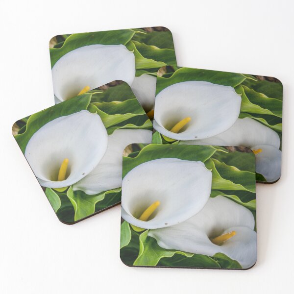 Item preview, White Flowers designed and sold by hugoncalves.