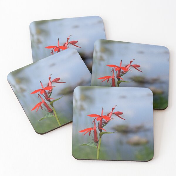 Item preview, Cardinal Flower designed and sold by jmunt.