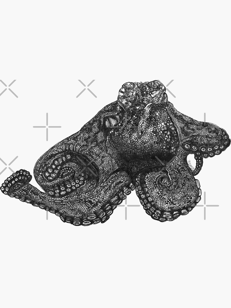Paul the Octopus by Wildcard-Sue