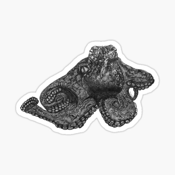 Paul the Octopus Sticker