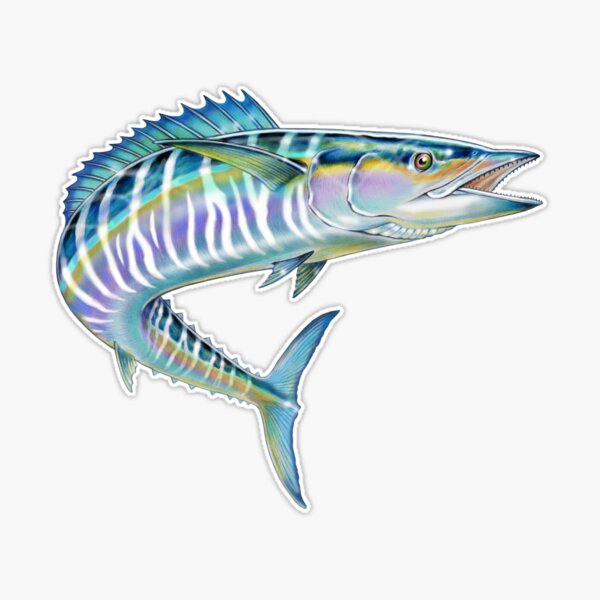 Captain Wahoo Sticker – FIXBAYONETS