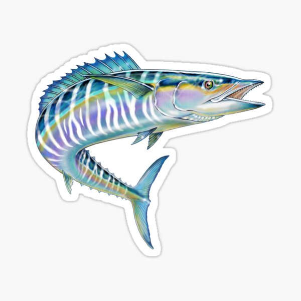 Fish Stickers Wahoo Decals Set of Two Mirrored Decals Various Sizes AFP-0100