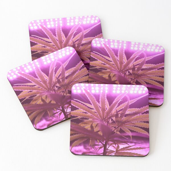 Item preview, PInk Weed designed and sold by Shope Buzz.
