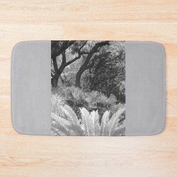 Item preview, Trees, Ferns and Foliage designed and sold by Anthony Macaluso.