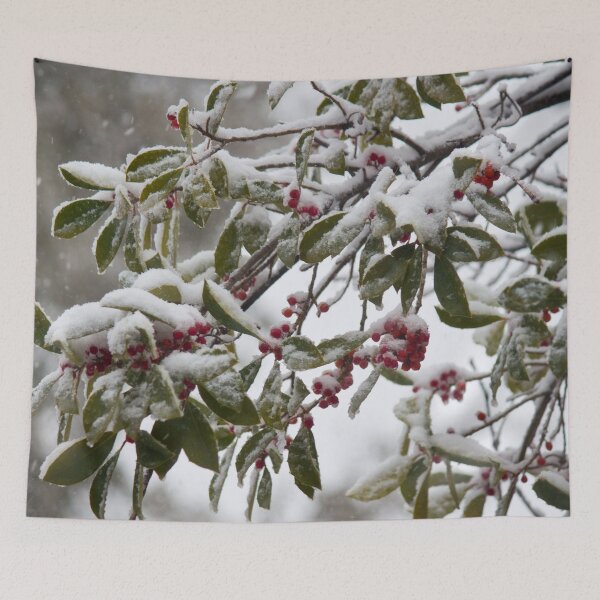 Item preview, Snowfall designed and sold by Jacquelie.
