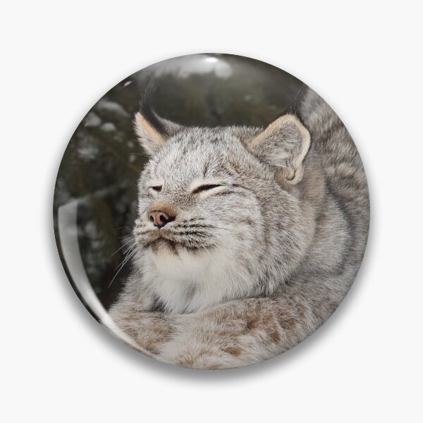 Artikelvorschau, Lynx Stretch entworfen und verkauft von mlorenz.
