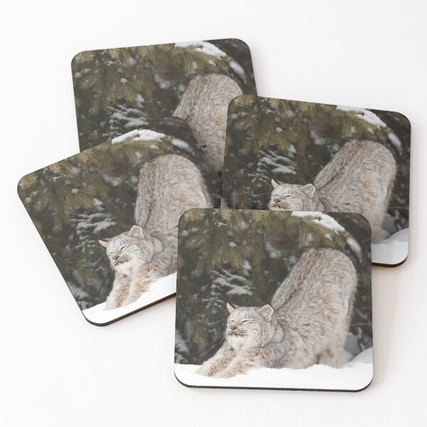 Item preview, Lynx Stretch designed and sold by mlorenz.