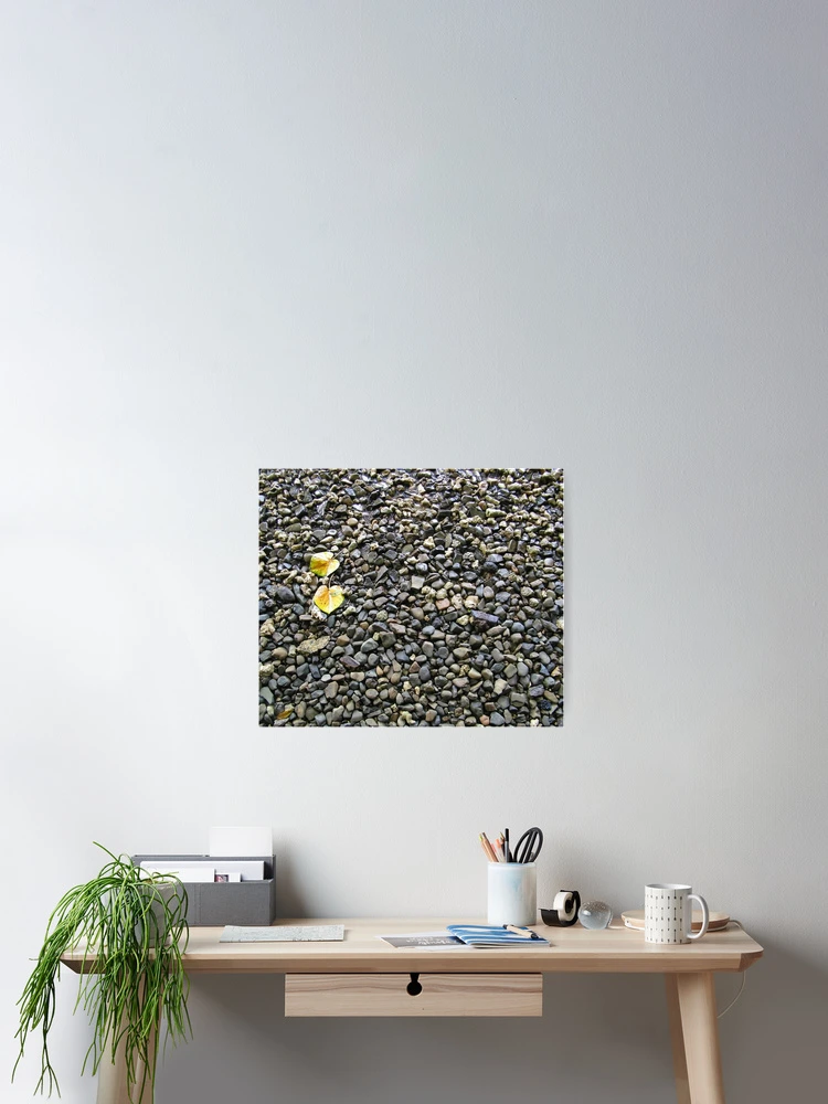Thumbnail 2 of 3, Poster, Bed Of Pebbles designed and sold by RamiBeans.