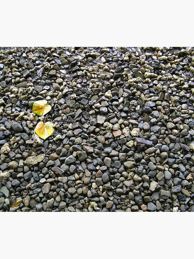 Thumbnail 3 of 3, Poster, Bed Of Pebbles designed and sold by RamiBeans.