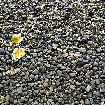 Artwork thumbnail, Bed Of Pebbles by RamiBeans