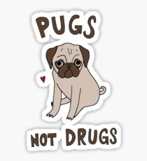 Pugs Not Drugs Sticker
