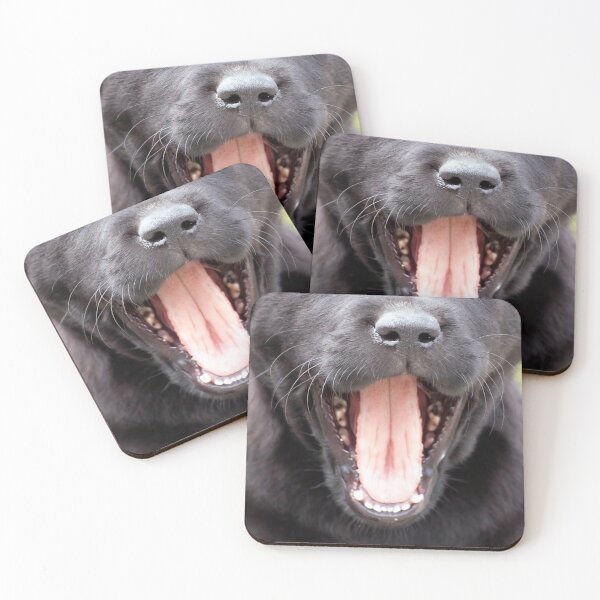 Item preview, Funny Dog Face designed and sold by SAVWIS.