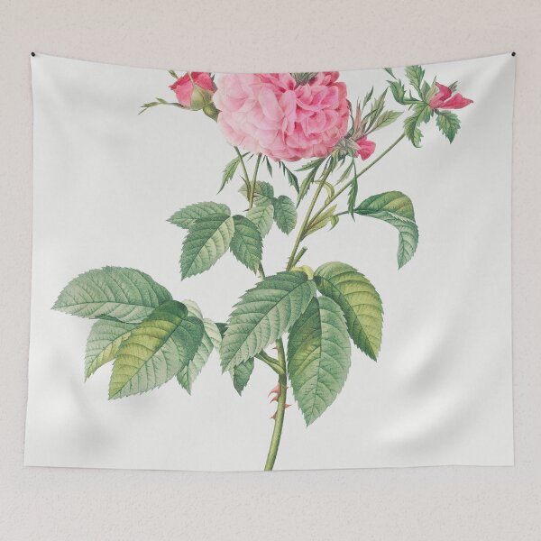 Item preview, Les Roses by Pierre-Joseph Redouté designed and sold by EsotericBotanic.