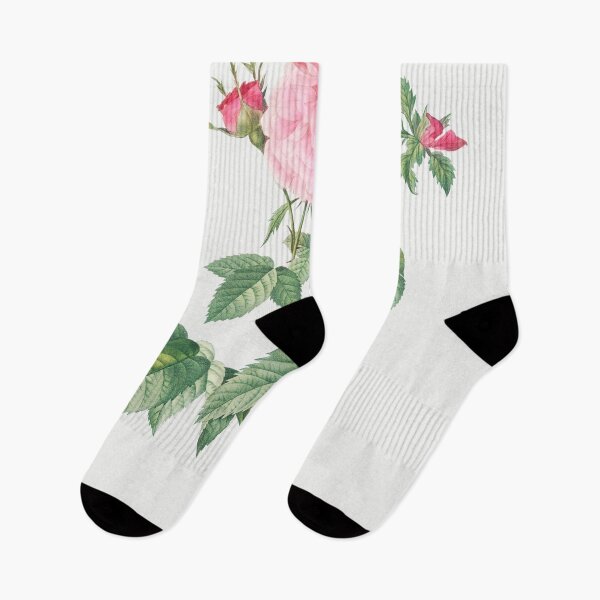 Item preview, Les Roses by Pierre-Joseph Redouté designed and sold by EsotericBotanic.
