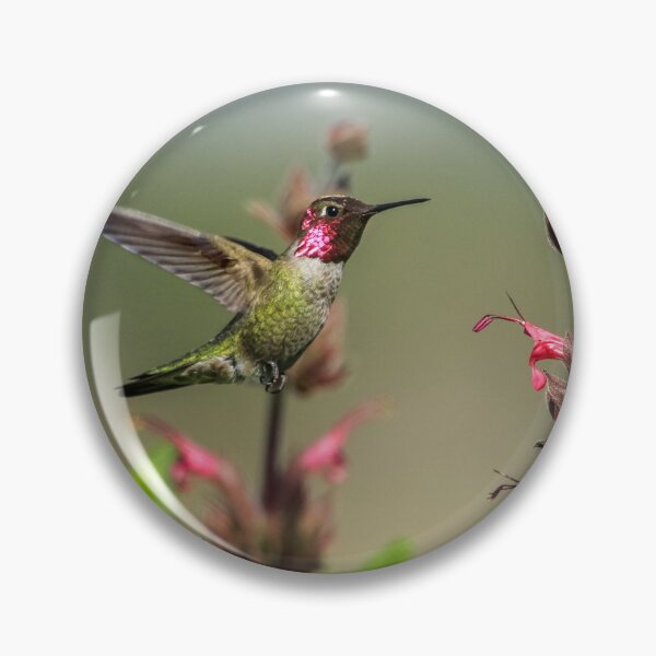 Artikelvorschau, Ruby Throated Hummer mit Stil eingefroren entworfen und verkauft von PsychoAlien.com.