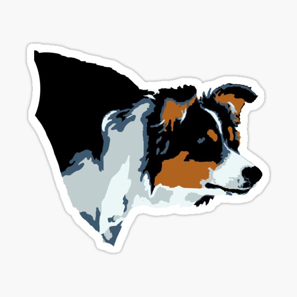 Border Collie-- Tricolor Sticker