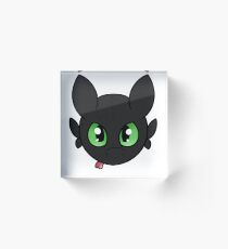 Toothless Acrylic Block