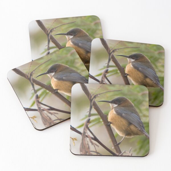 Item preview, Eastern Spinebill designed and sold by LilLizphoto.