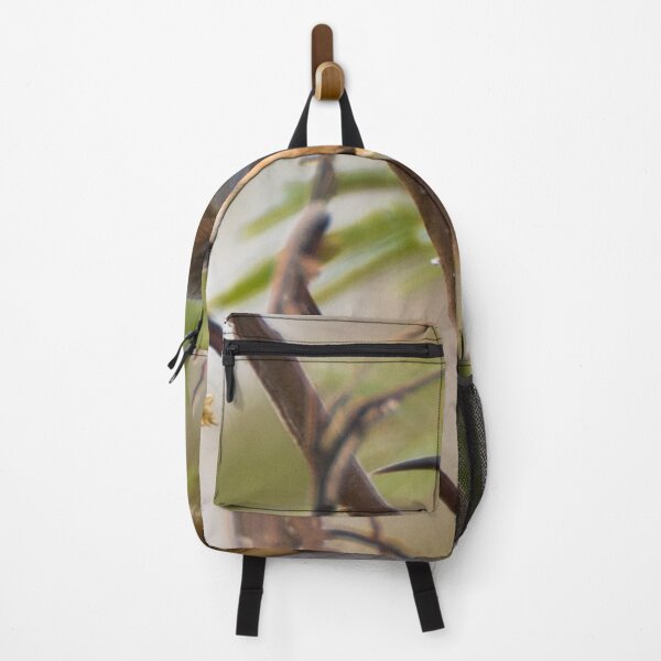 Item preview, Eastern Spinebill designed and sold by LilLizphoto.