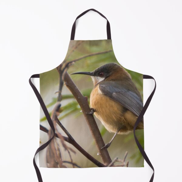 Item preview, Eastern Spinebill designed and sold by LilLizphoto.