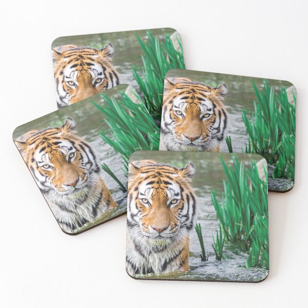 Item preview, Beautiful Tiger designed and sold by FeatureGifts.