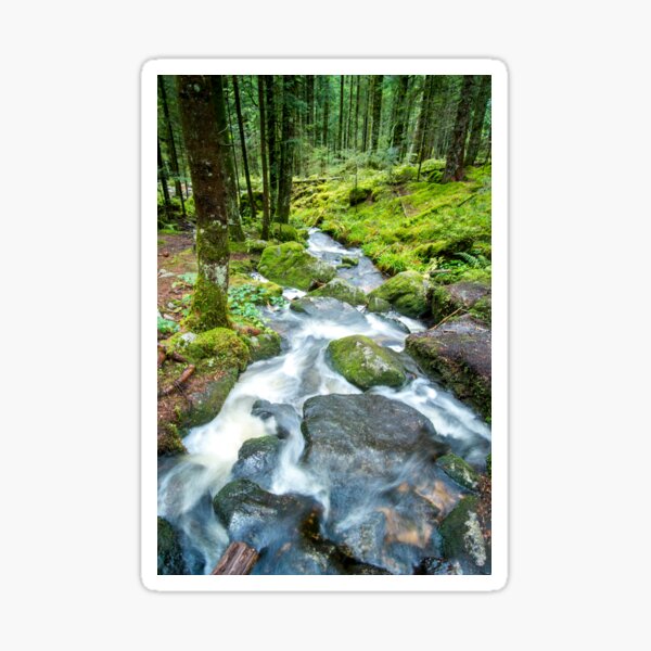 Mountain Stream in the Vosges Mountains France - Travel Landscape Photography Sticker