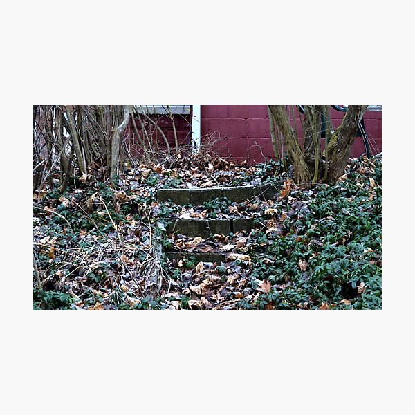 Untitled Photographic Print