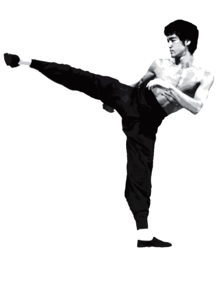 bruce lee kick picture