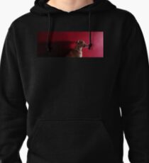 Isabella .2 Pullover Hoodie