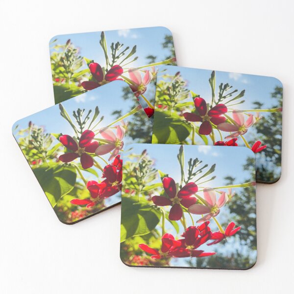 Item preview, Sunkissed Petals designed and sold by mossandhoney.