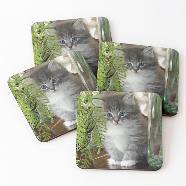 Item preview, Kitten, Siberian Grey with White designed and sold by bryanmcclelland.