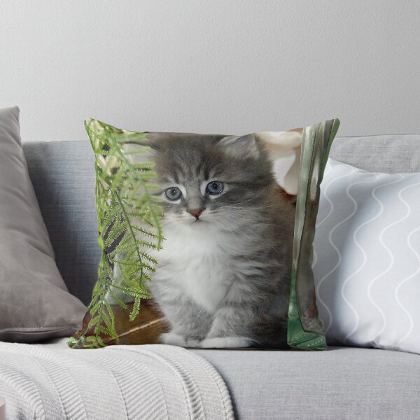 Item preview, Kitten, Siberian Grey with White designed and sold by bryanmcclelland.